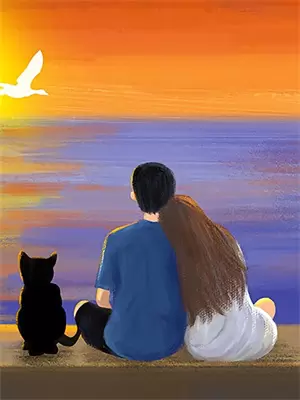 换婚小说